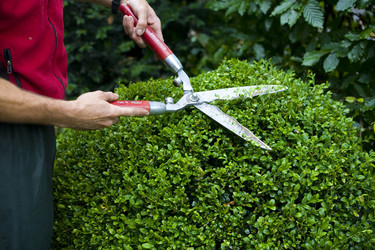 Similar image 8039544