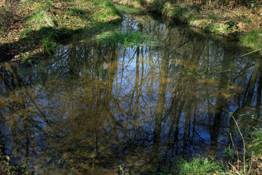 Similar image 8039551