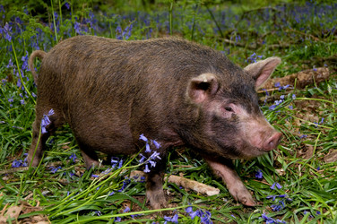 Similar image 8039554