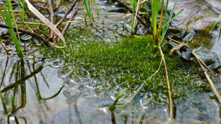 Similar image 8039555