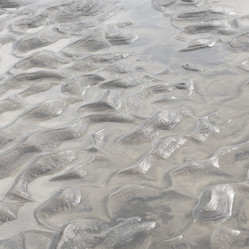 Similar image 8039559