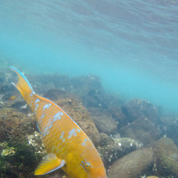 Similar image 8039563