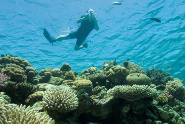 Similar image 8039565