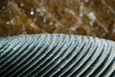 Similar image 8039569