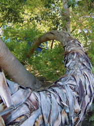 Similar image 8039570