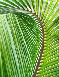 Similar image 8039574