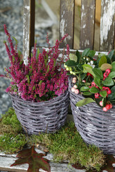 Similar image 8039575