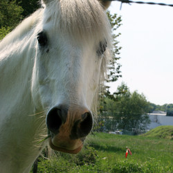 Similar image 8039577