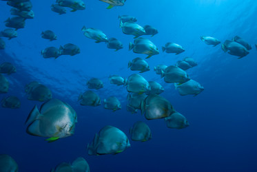 Similar image 8039585