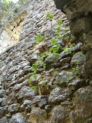 Similar image 8039586