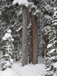 Similar image 8039587