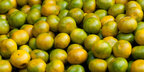 Similar image 8039595