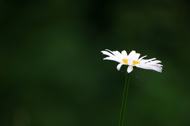 Similar image 8039597