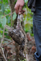 Similar image 8039602