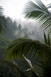 Similar image 8039610