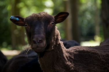 Similar image 8039611