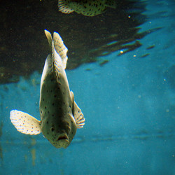 Similar image 8039619