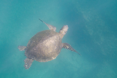 Similar image 8039622