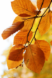 Similar image 8039641