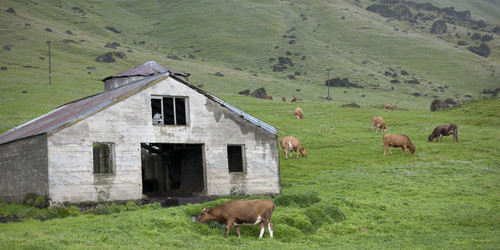 Similar image 8039644