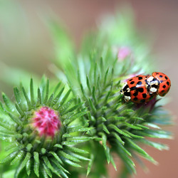 Similar image 8039649