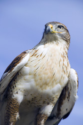 Similar image 8039653