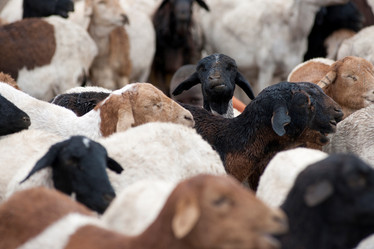 Similar image 8039658