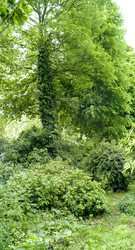 Similar image 8039668