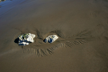 Similar image 8039671