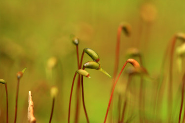 Similar image 8039680