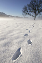 Similar image 8039686