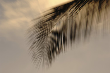 Similar image 8039688