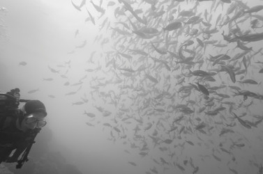 Similar image 8039693