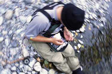 Similar image 8039695