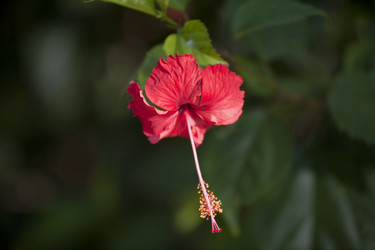 Similar image 8039701