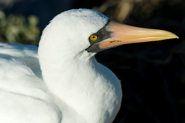 Similar image 8039707