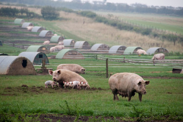 Similar image 8039711