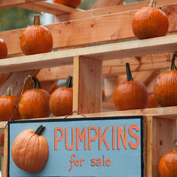 Similar image 8039714