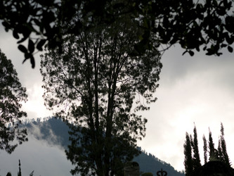 Similar image 8039717