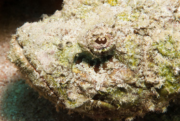 Similar image 8039719