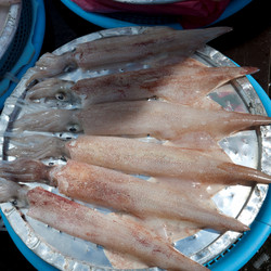 Similar image 8039720