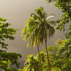 Similar image 8039739