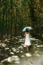 Similar image 8039740