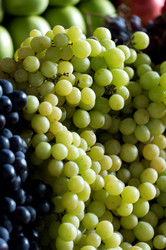 Similar image 8039745