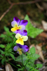 Similar image 8039752