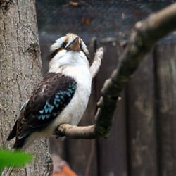 Similar image 8039756