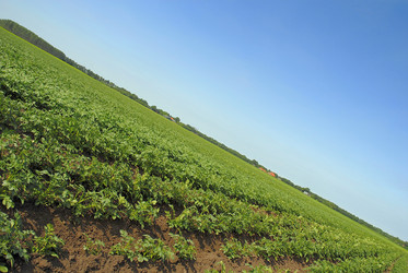 Similar image 8039766