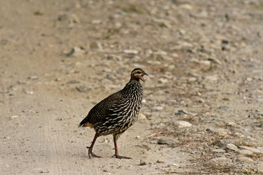 Similar image 8039770