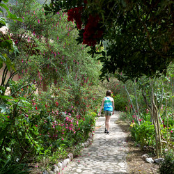 Similar image 8039771