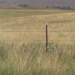 Similar image 8039777